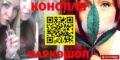 крисы Кингисепп