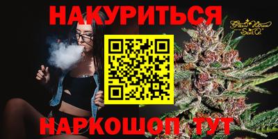 крисы Кингисепп