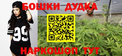 крисы Кингисепп