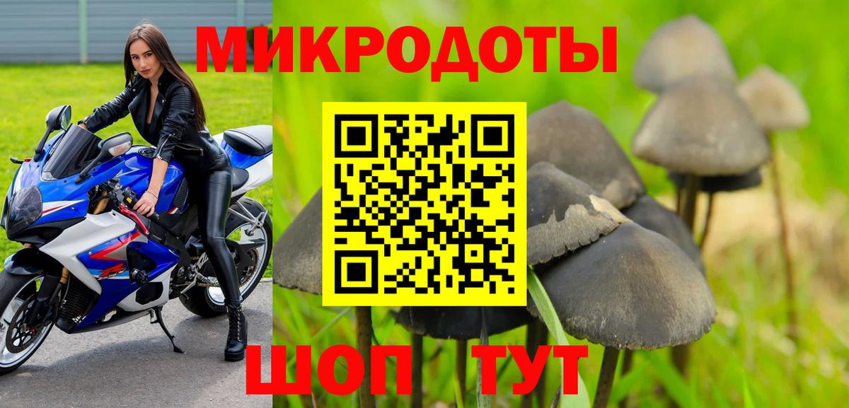 Псилоцибиновые грибы мухоморы  Вход с VPN  Ковров  Псилоцибиновые грибы GOLDEN TEACHER 